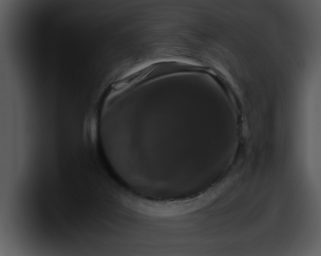 X0000099990019200806061554