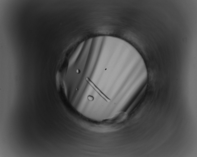 X0000099990020200806061554