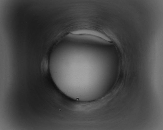 X0000099990021200806061553