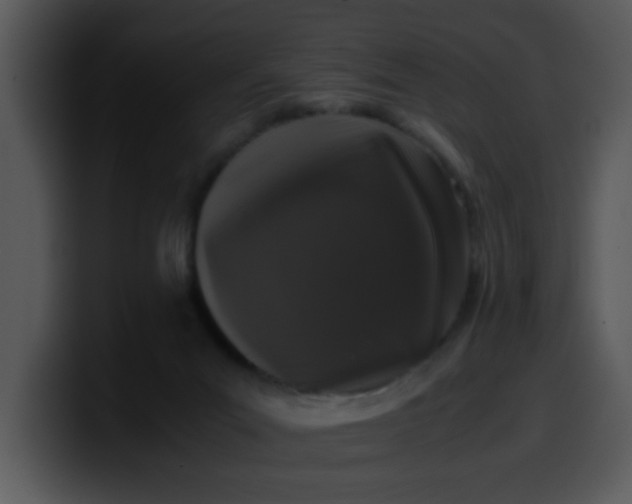 X0000099990023200806061553