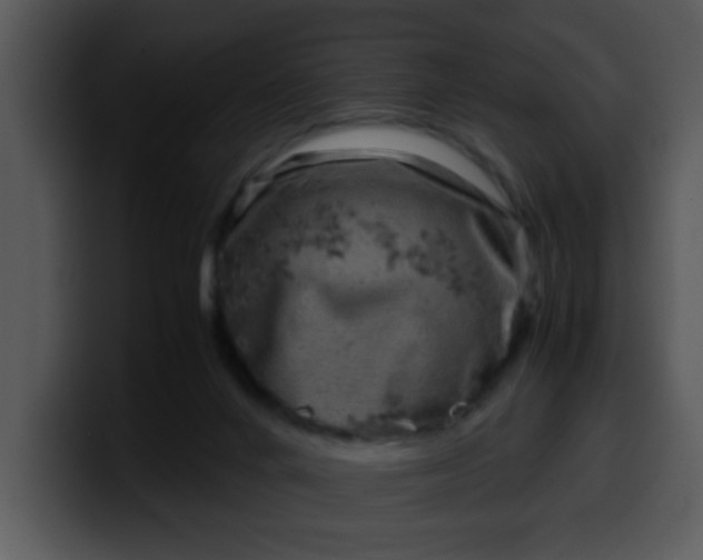 X0000099990024200806061553