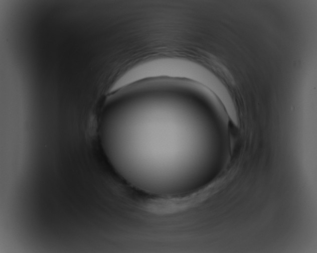 X0000099990025200806061553