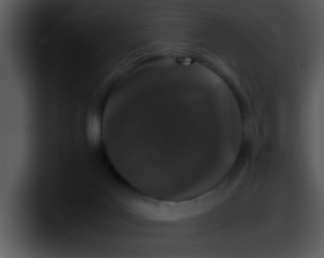 X0000099990027200806061553