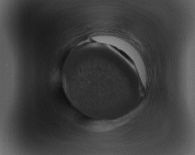 X0000099990029200806061553