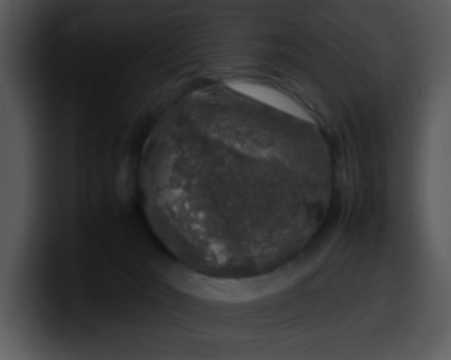 X0000099990030200806061553