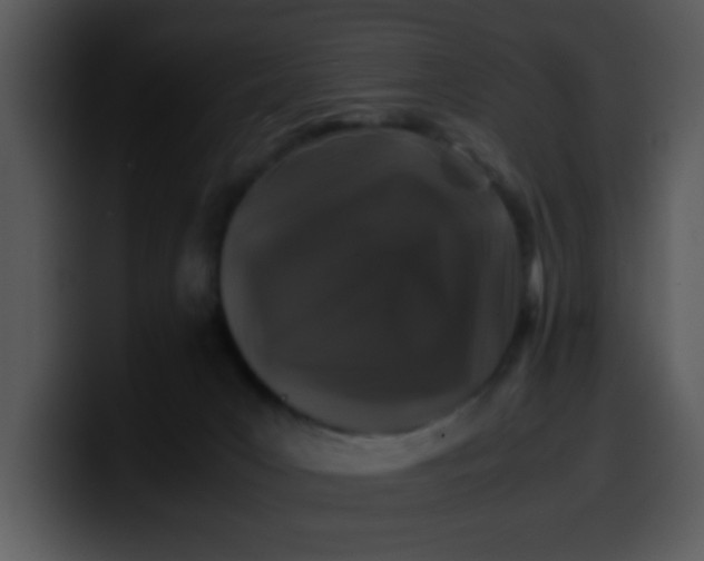 X0000099990031200806061553