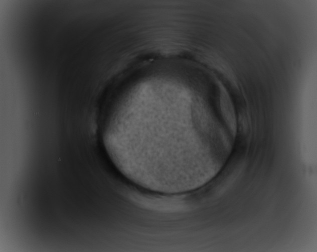 X0000099990032200806061553