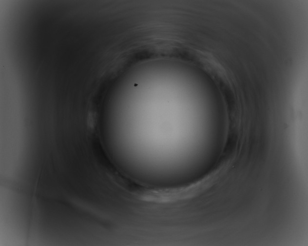 X0000099990033200806061553