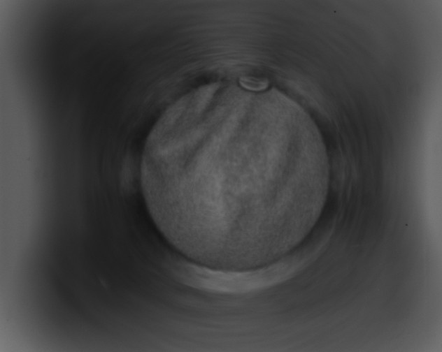 X0000099990034200806061553