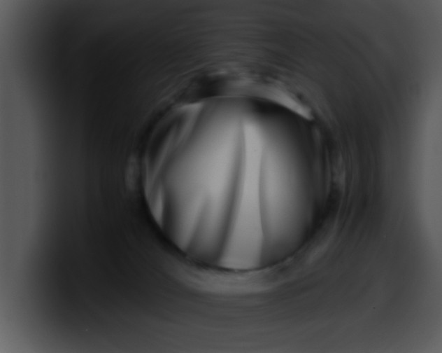 X0000099990036200806061553