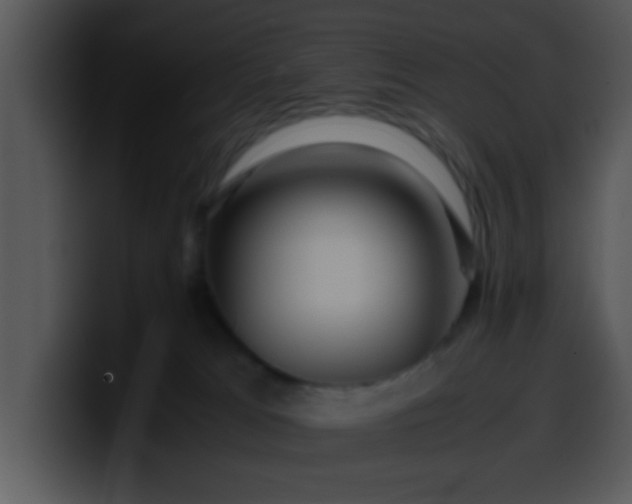 X0000099990037200806061553