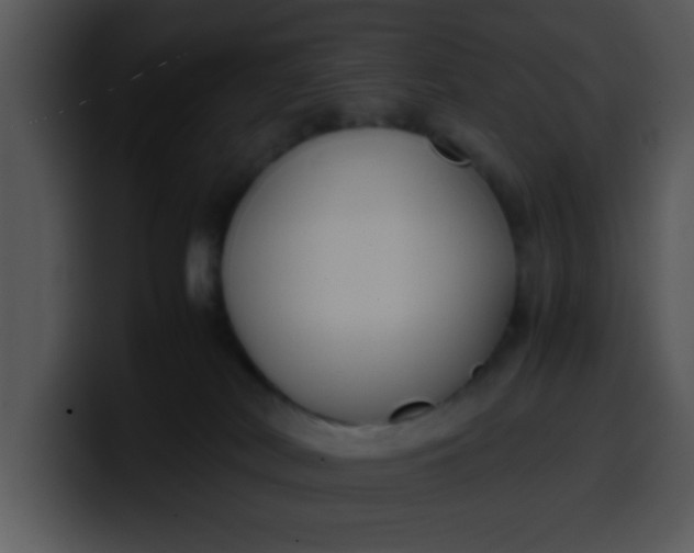 X0000099990038200806061553