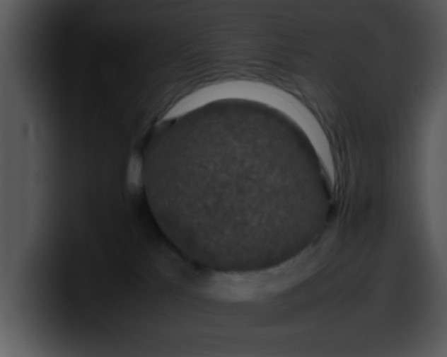 X0000099990041200806061553