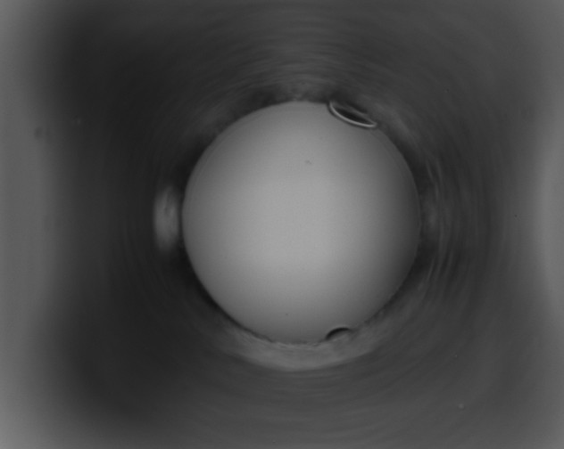 X0000099990042200806061553