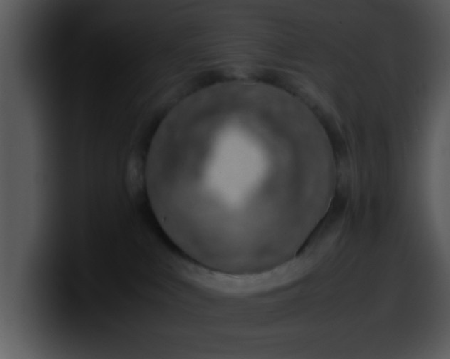 X0000099990043200806061553