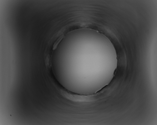 X0000099990044200806061553