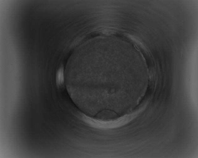 X0000099990046200806061553