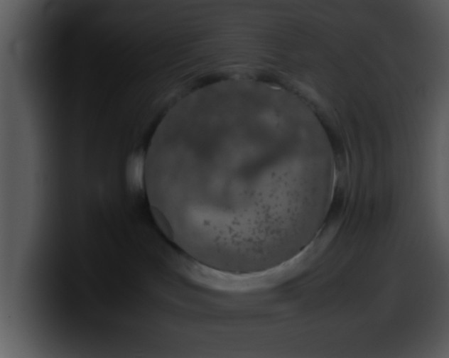 X0000099990047200806061553