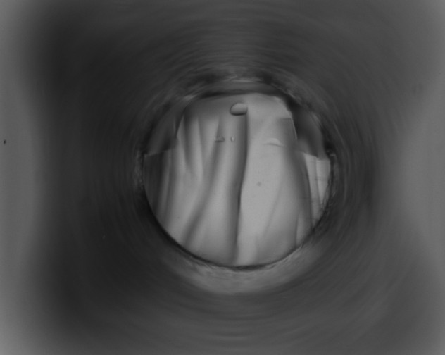 X0000099990048200806061553