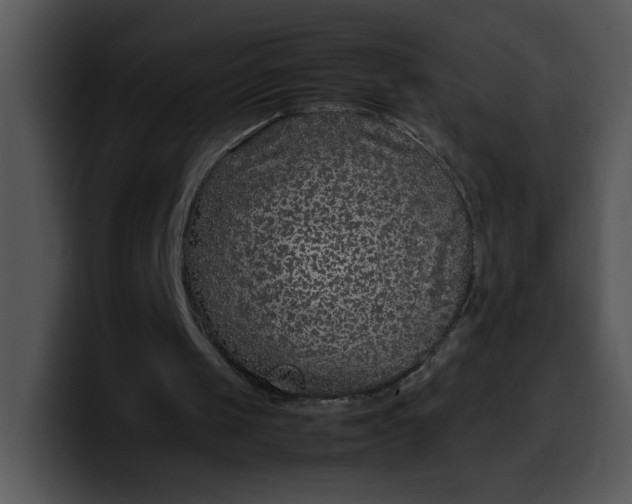 X0000099990049200806061552