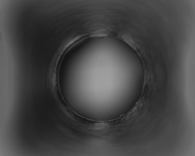 X0000099990050200806061552