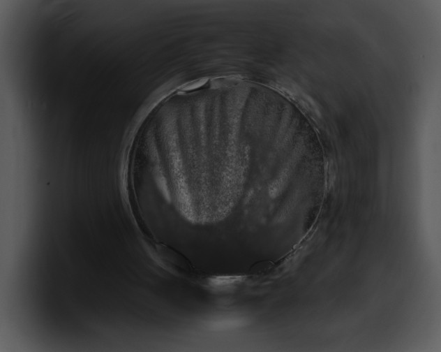 X0000099990051200806061552