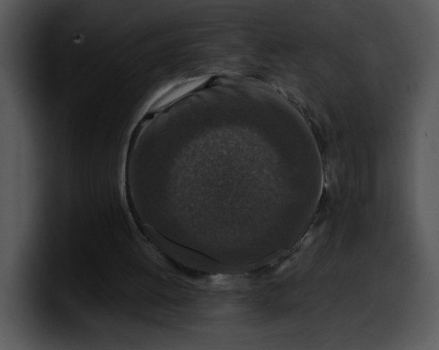 X0000099990052200806061553