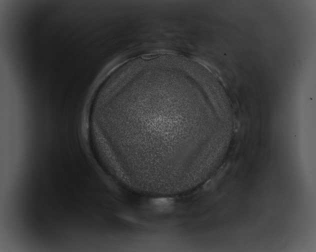 X0000099990053200806061553