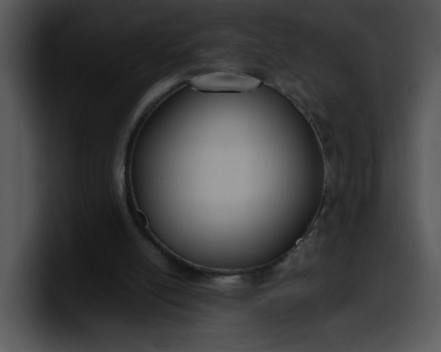 X0000099990054200806061553