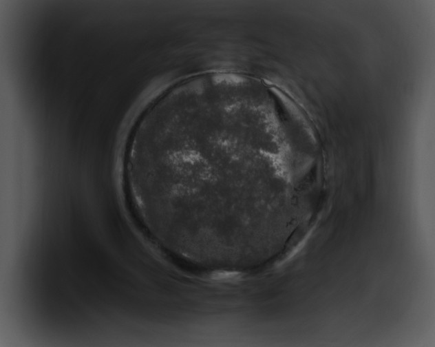 X0000099990055200806061553