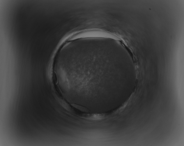 X0000099990056200806061553