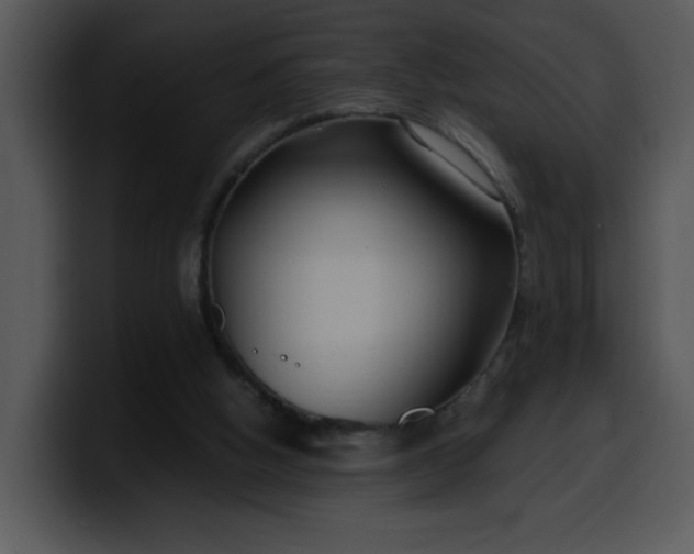 X0000099990058200806061553