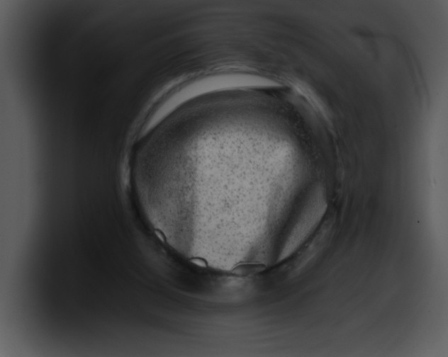 X0000099990060200806061553