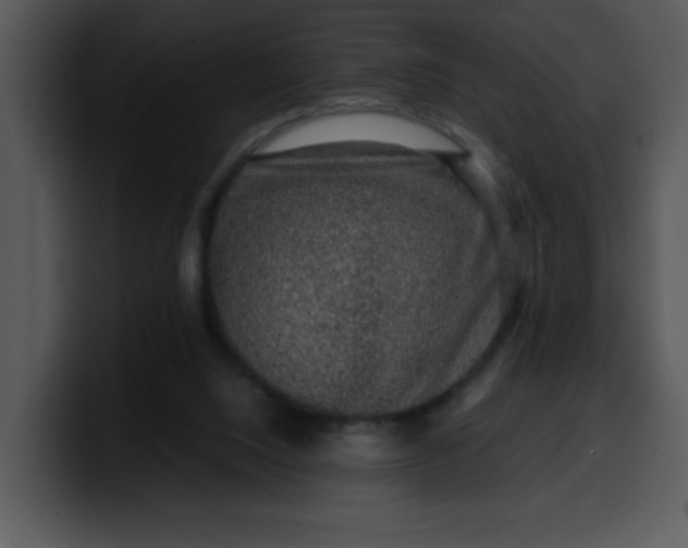 X0000099990064200806061553