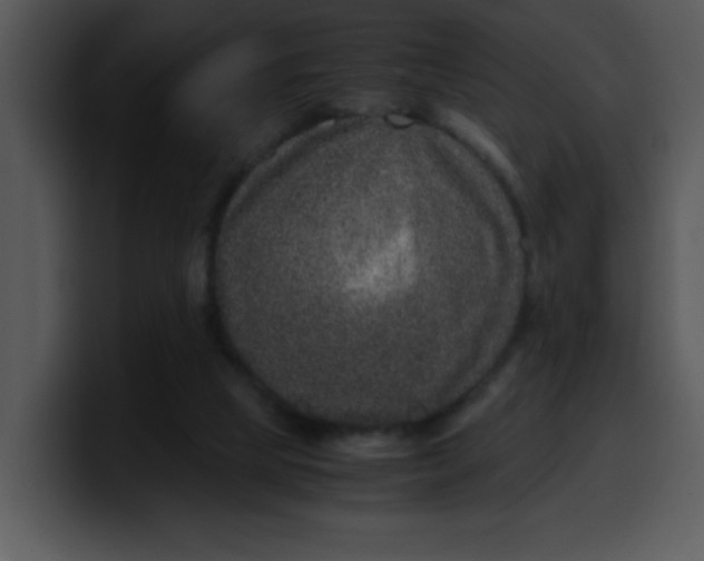 X0000099990065200806061553