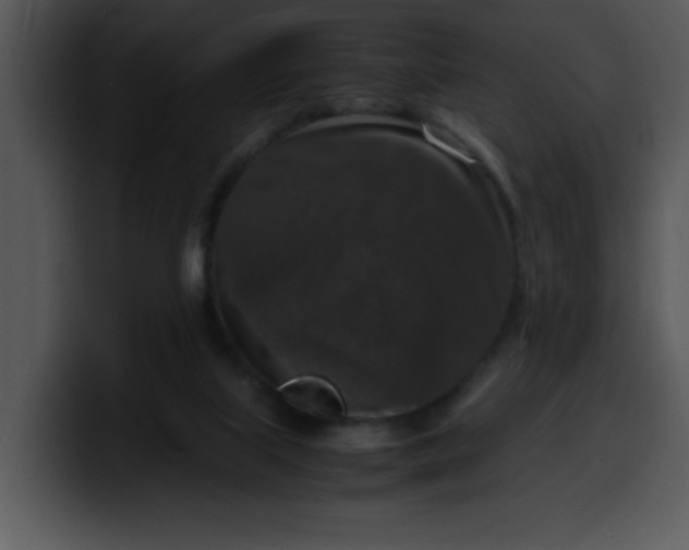 X0000099990067200806061553