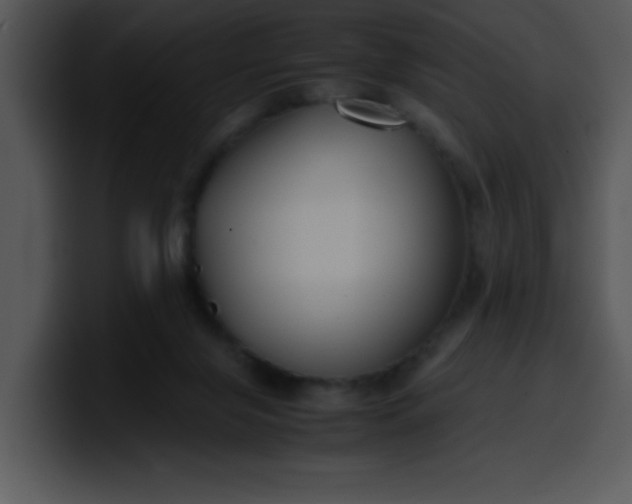 X0000099990071200806061553