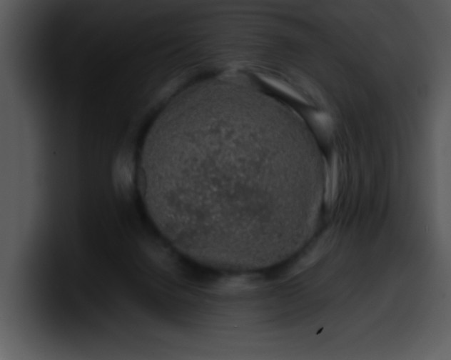 X0000099990072200806061553