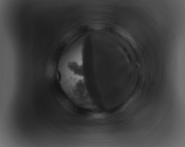 X0000099990073200806061553