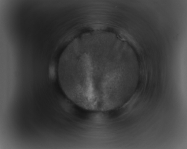 X0000099990074200806061553