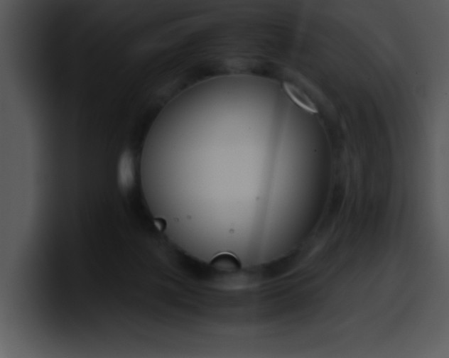 X0000099990075200806061553