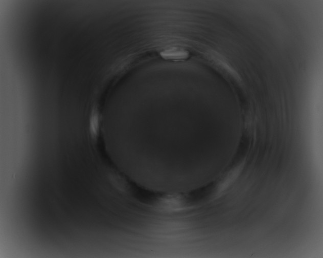 X0000099990076200806061553