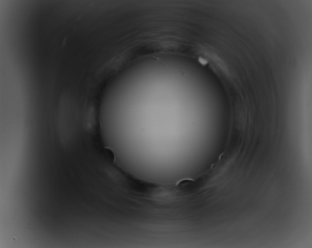 X0000099990077200806061553