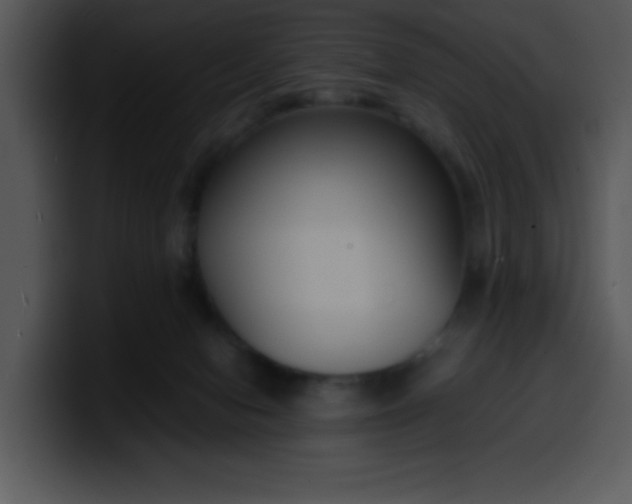 X0000099990078200806061553