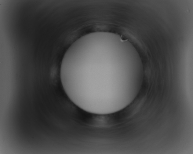 X0000099990079200806061553