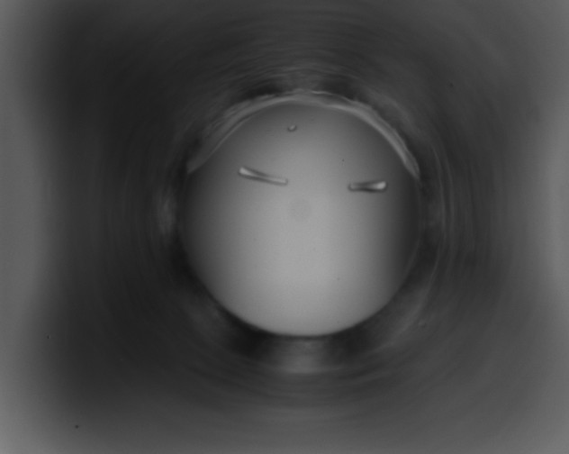 X0000099990081200806061553