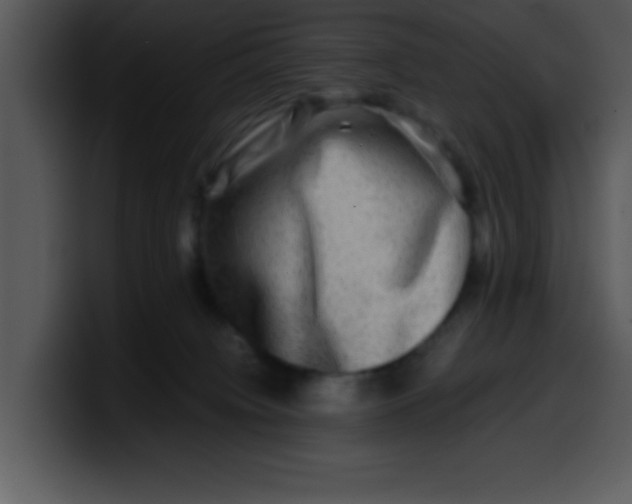 X0000099990084200806061553