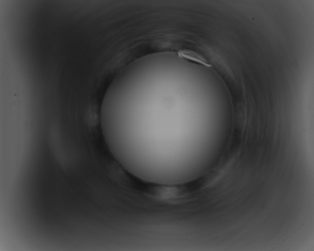 X0000099990085200806061553