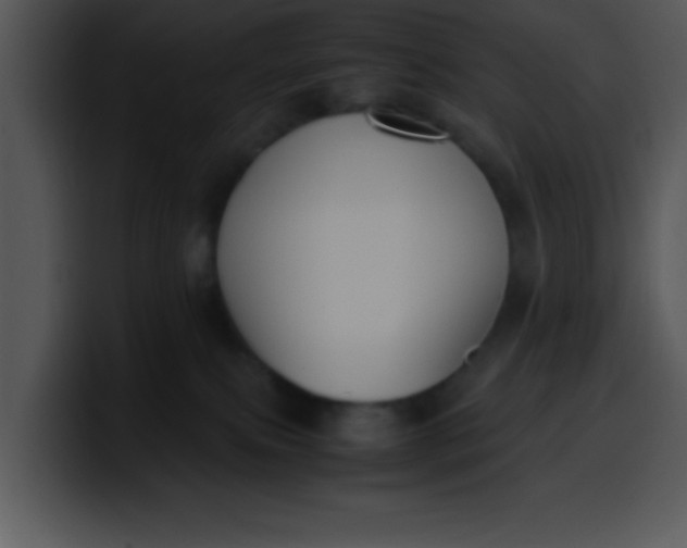 X0000099990087200806061553