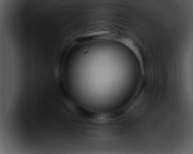 X0000099990088200806061553